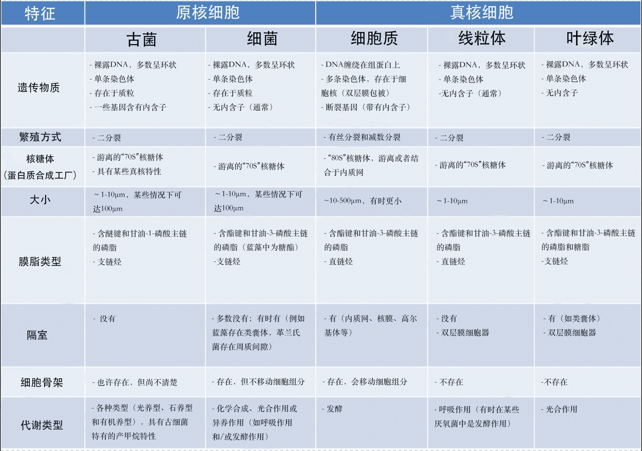 共生与进化 真核细胞的起源 环境百科全书