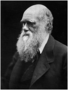 环境百科全书-生命-达尔文（Darwin）