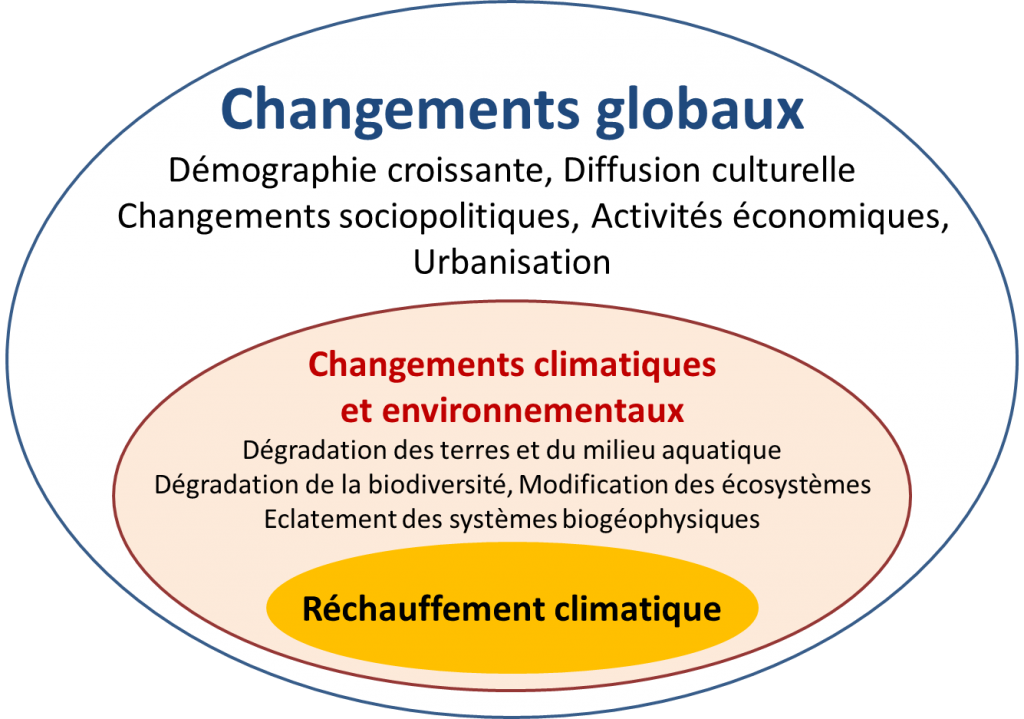 Changement Climatique : Quels Effets Sur Notre Santé ? - Encyclopédie ...