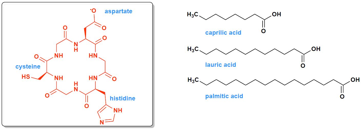 Once Upon A Time When Life Appeared: Chemistry In The Earth's Ocean 4 