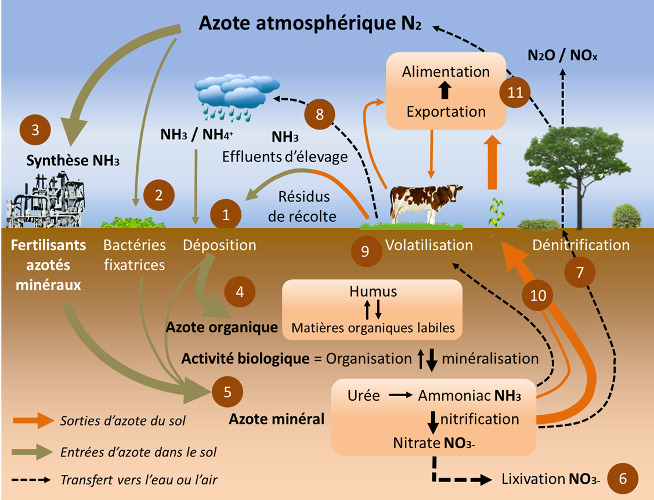 Azote atmosphérique : définition et explications
