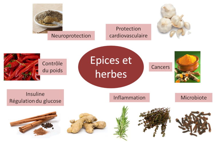 Epices, aromates, condiments et herbes aromatiques - Nutrition
