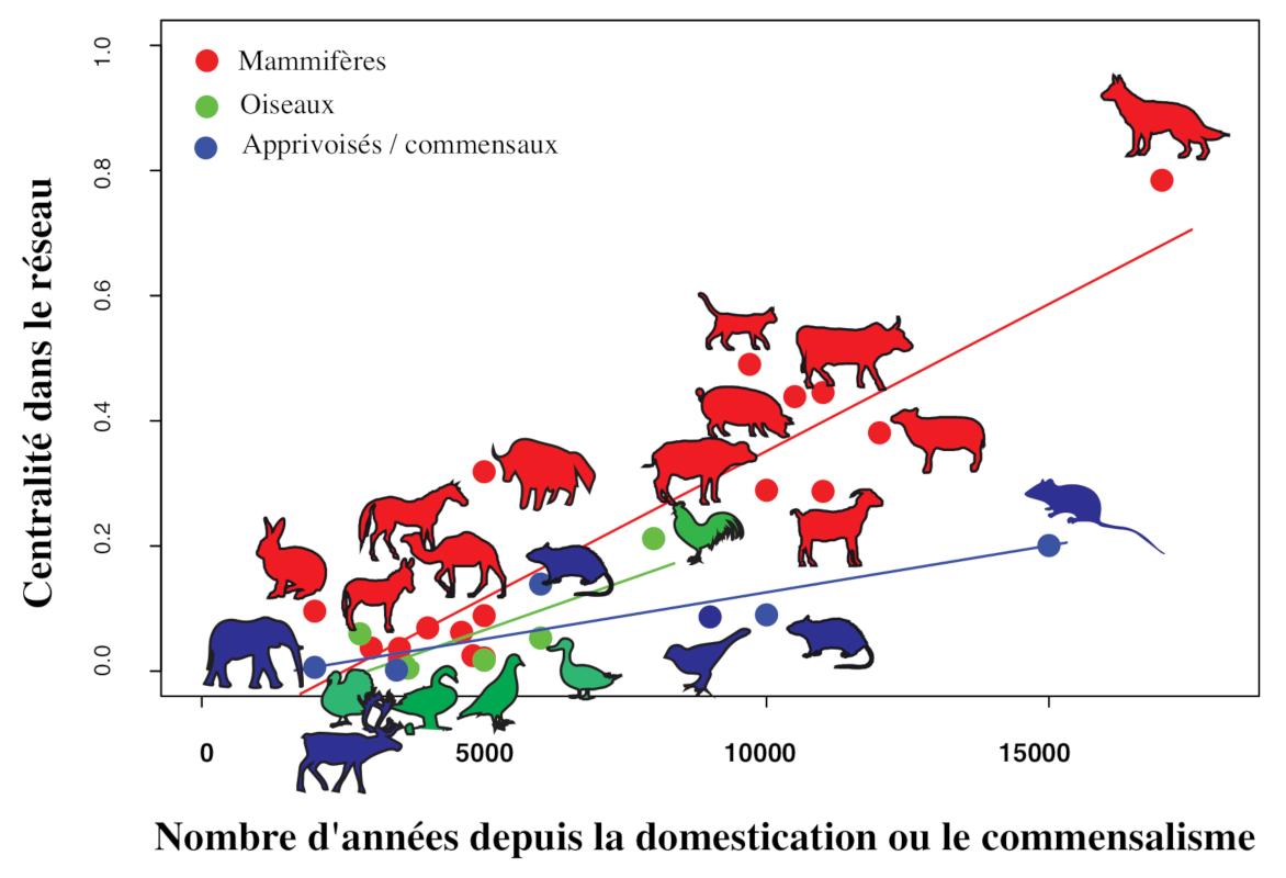 Viral pandemics of the modern era - Encyclopedia of the Environment