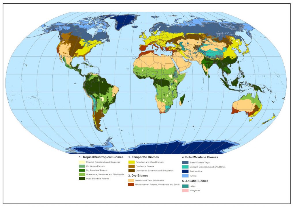 Restoring savannas and tropical herbaceous ecosystems - Encyclopedia of ...