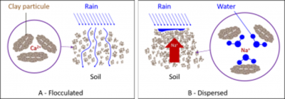 环境百科全是-生命-钠对土壤结构的影响